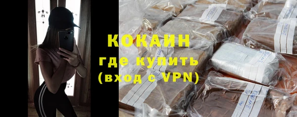 молекула духа Арсеньев