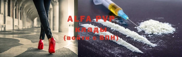 молекула духа Арсеньев
