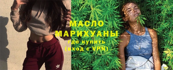 молекула духа Арсеньев