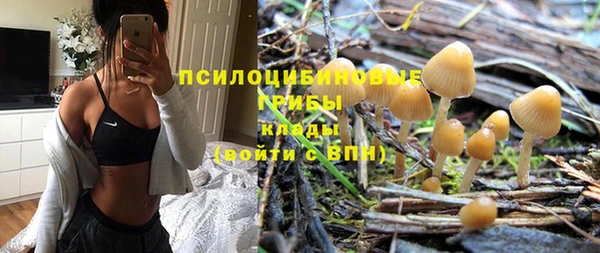PSILOCYBIN Алексин