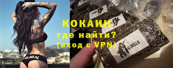 молекула духа Арсеньев