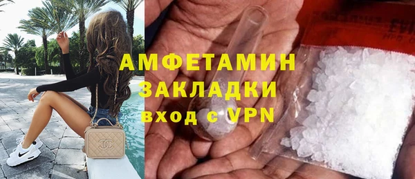молекула духа Арсеньев