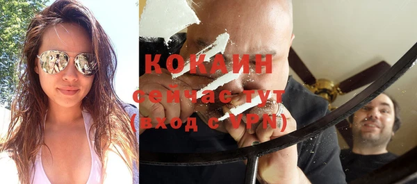 молекула духа Арсеньев
